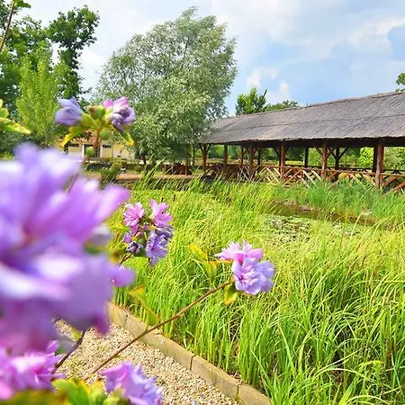 Thermal Gara Gyogy- Es Wellness Szalloda Szálloda Füzesgyarmat