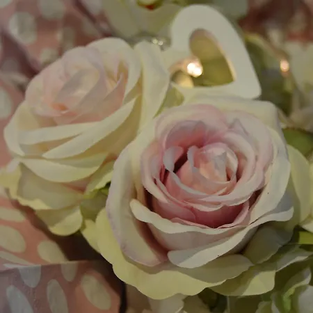 Szálloda Thermal Gara Gyogy- Es Wellness Szalloda Füzesgyarmat