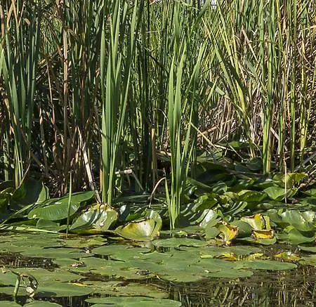 Thermal Gara Gyogy- Es Wellness Szalloda Füzesgyarmat